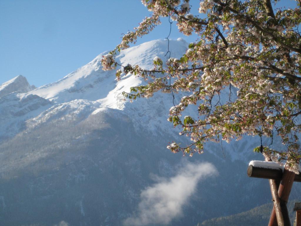 Hotel-Gasthof Nutzkaser Ramsau bei Berchtesgaden Екстериор снимка