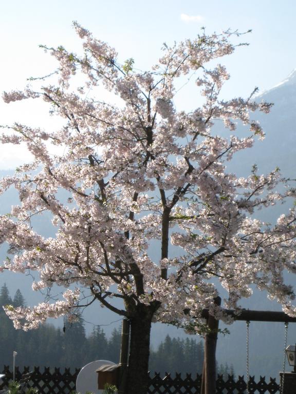 Hotel-Gasthof Nutzkaser Ramsau bei Berchtesgaden Екстериор снимка